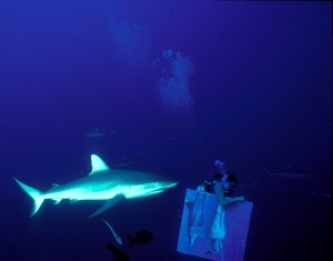 Peinture en immersion de Malvina à Rangiroa dans la grotte aux requins photo de Pozzoli