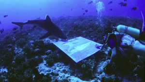 Peinture en immersion de Malvina à Rangiroa dans la grotte aux requins photo de Pozzoli