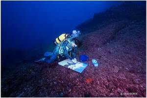 Peinture en immersion de Malvina à Marseille.