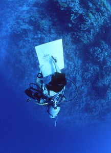 Peinture en suspension en Méditerranée. Malvina, peintre en immersion