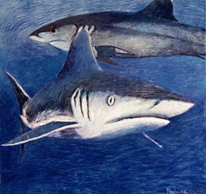 Portrait de Requins, peinture en immersion par Malvina