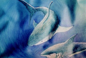 Requins, peinture en immersion par Malvina